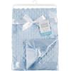 imageHudson Baby Unisex Baby Plush Mink Blanket Powder Blue One SizePowder Blue