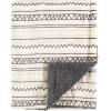 imageHudson Baby Unisex Baby Plush Mink and Sherpa Blanket Floral One SizeAztec