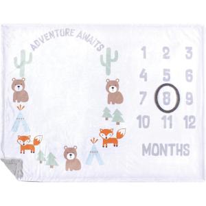 imageHudson Baby Unisex Baby Plush Holiday and Milestone Blanket Holiday One SizeAdventure Awaits