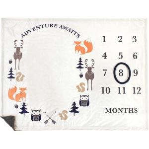 imageHudson Baby Unisex Baby Plush Holiday and Milestone Blanket Holiday One SizeBoy Adventure Awaits