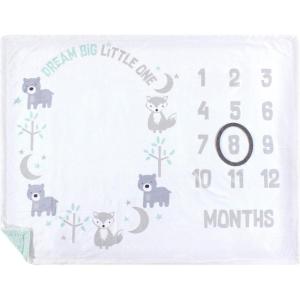 imageHudson Baby Unisex Baby Plush Holiday and Milestone Blanket Holiday One SizeDream Big