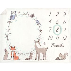 imageHudson Baby Unisex Baby Plush Holiday and Milestone Blanket Holiday One SizeEnchanted Forest