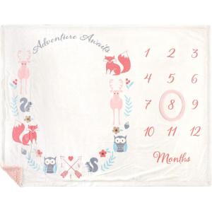 imageHudson Baby Unisex Baby Plush Holiday and Milestone Blanket Holiday One SizeGirl Adventure Awaits