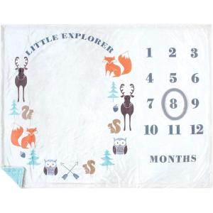 imageHudson Baby Unisex Baby Plush Holiday and Milestone Blanket Holiday One SizeLittle Explorer