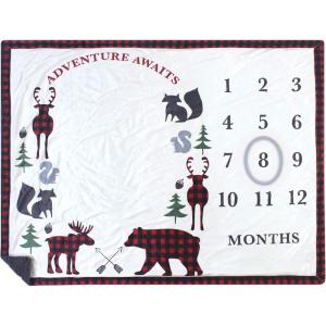 imageHudson Baby Unisex Baby Plush Holiday and Milestone Blanket Holiday One SizeRed Black Plaid