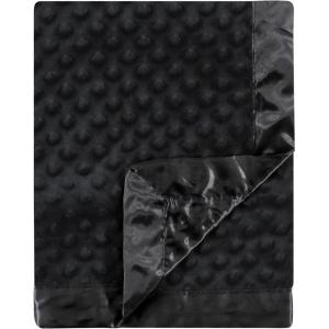 imageHudson Baby Unisex Baby Plush Mink Blanket Powder Blue One SizeBlack