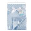 imageHudson Baby Unisex Baby Plush Mink Blanket Powder Blue One Size Pack of 2