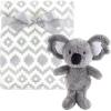 Snuggly Koala