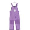 image:imageHudson Baby Baby Boys Snow Bib OverallsSolid Purple