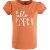 image:imageHudson Baby Baby Short Sleeve TShirtsFall Pumpkin Spice