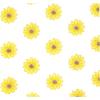 image:imageHudson Baby Unisex Baby Cotton Polyester Flannel Receiving Blankets 4PackYellow Daisy