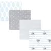 Koala Stripe