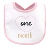 image:imageHudson Baby Unisex Baby Cotton Bibs Popsicle One SizeHello World