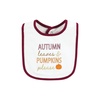 image:imageHudson Baby Unisex Baby Cotton Bibs Popsicle One SizePumpkin Spice Date