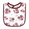 image:imageHudson Baby Unisex Baby Cotton Bibs Popsicle One SizeRose