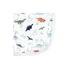 image:imageHudson Baby Unisex Baby Cotton Muslin Washcloths Rose One SizeDino