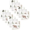 Forest Animals