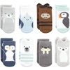 Arctic Animals