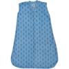 Blue Anchor