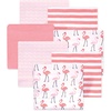 Pink Flamingos