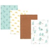 Desert Cactus 4-pack