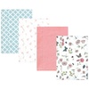Hummingbird Garden 4 Pack