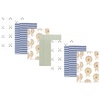 Modern Lion 7-pack