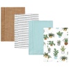 Plants 4 Pack