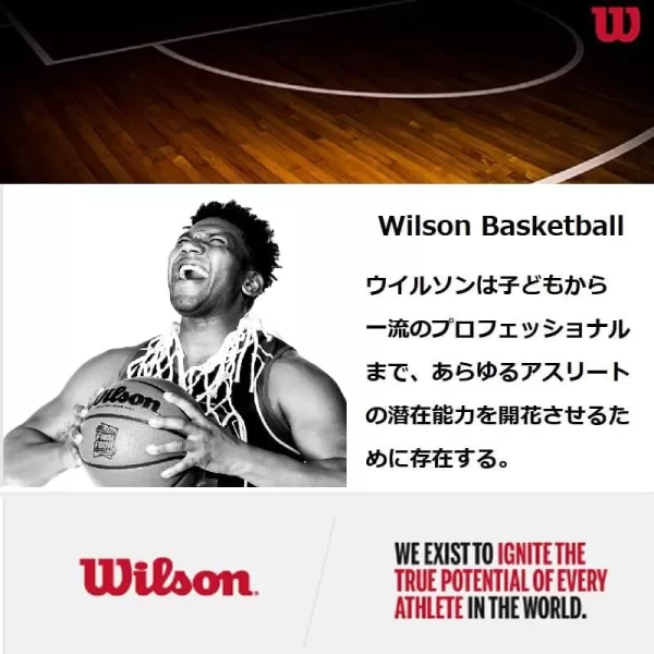 WILSON Evolution Indoor Game Basketballs - Size 5, Size 6 and Size 7