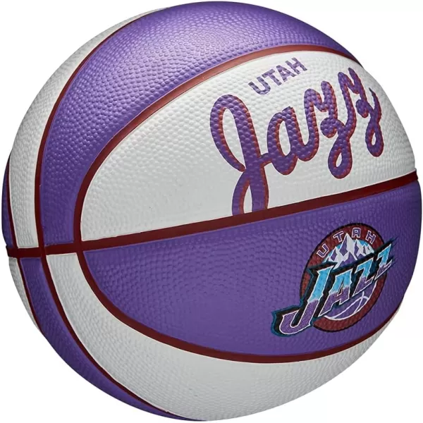 WILSON NBA Alliance Series Basketballs - Team Logo Basketballs - 29.5" and Mini Sizes