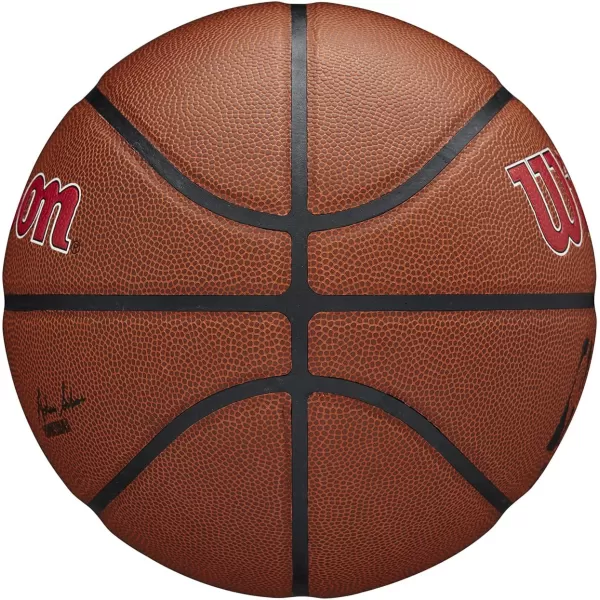 WILSON NBA Alliance Series Basketballs - Team Logo Basketballs - 29.5" and Mini Sizes