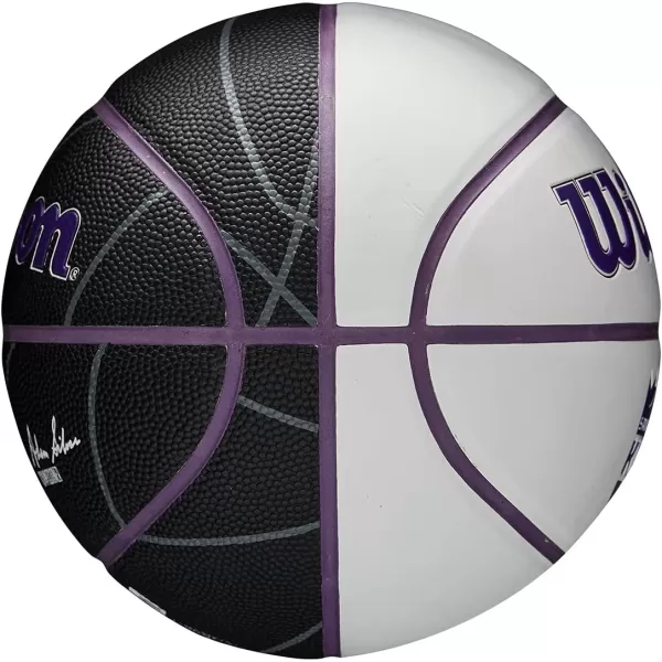 WILSON NBA Alliance Series Basketballs - Team Logo Basketballs - 29.5" and Mini Sizes