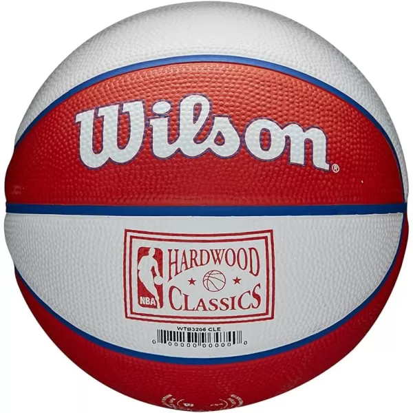 WILSON NBA Alliance Series Basketballs - Team Logo Basketballs - 29.5" and Mini Sizes
