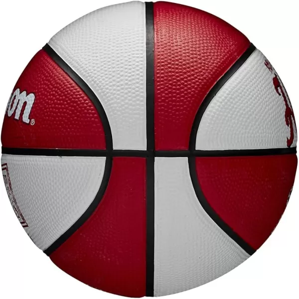 WILSON NBA Alliance Series Basketballs - Team Logo Basketballs - 29.5" and Mini Sizes