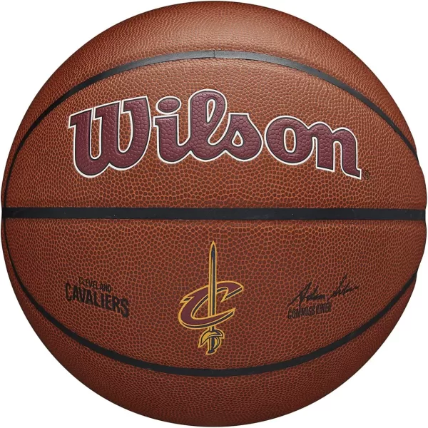 WILSON NBA Alliance Series Basketballs - Team Logo Basketballs - 29.5" and Mini Sizes
