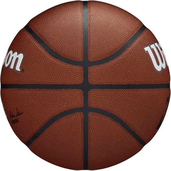 WILSON NBA Alliance Series Basketballs - Team Logo Basketballs - 29.5" and Mini Sizes