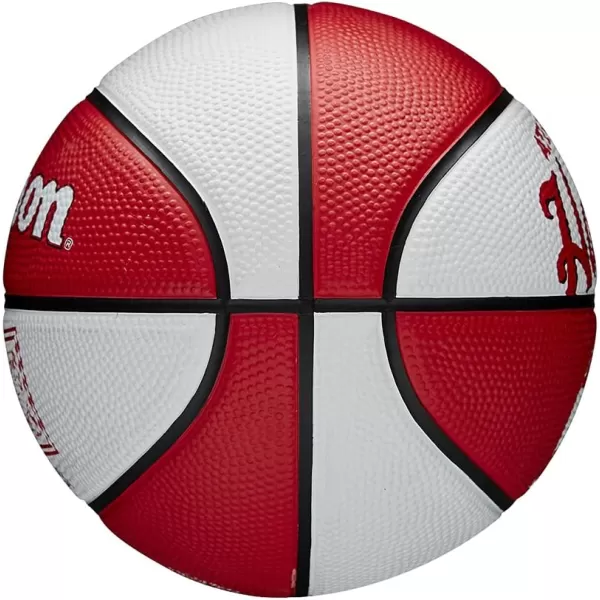 WILSON NBA Alliance Series Basketballs - Team Logo Basketballs - 29.5" and Mini Sizes