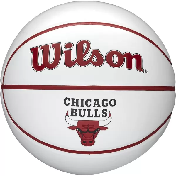 WILSON NBA Alliance Series Basketballs - Team Logo Basketballs - 29.5" and Mini Sizes