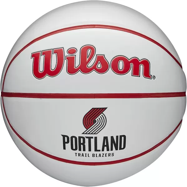 WILSON NBA Alliance Series Basketballs - Team Logo Basketballs - 29.5" and Mini Sizes