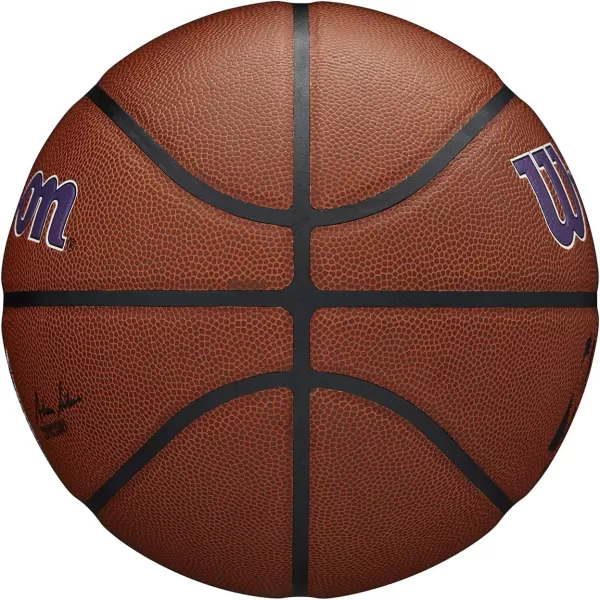 WILSON NBA Alliance Series Basketballs - Team Logo Basketballs - 29.5" and Mini Sizes
