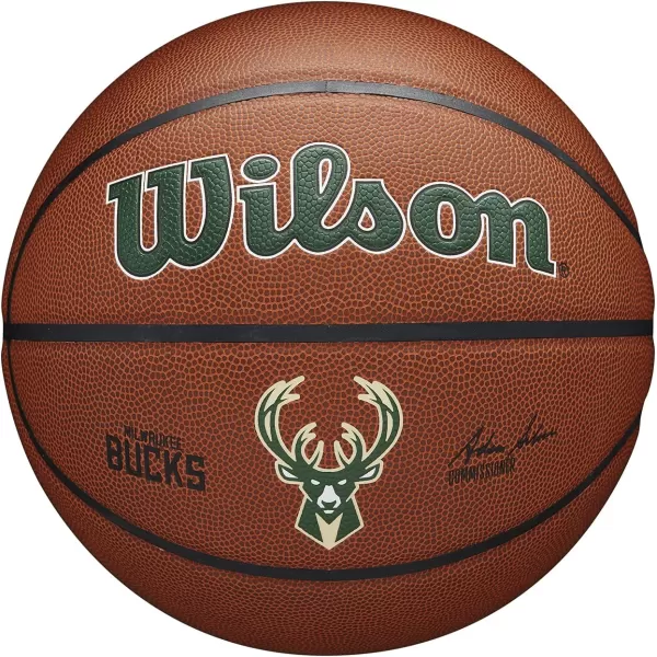 WILSON NBA Alliance Series Basketballs - Team Logo Basketballs - 29.5" and Mini Sizes