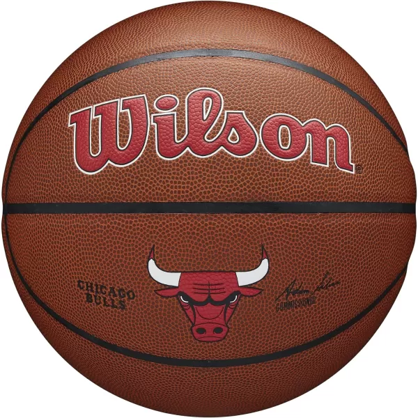 WILSON NBA Alliance Series Basketballs - Team Logo Basketballs - 29.5" and Mini Sizes