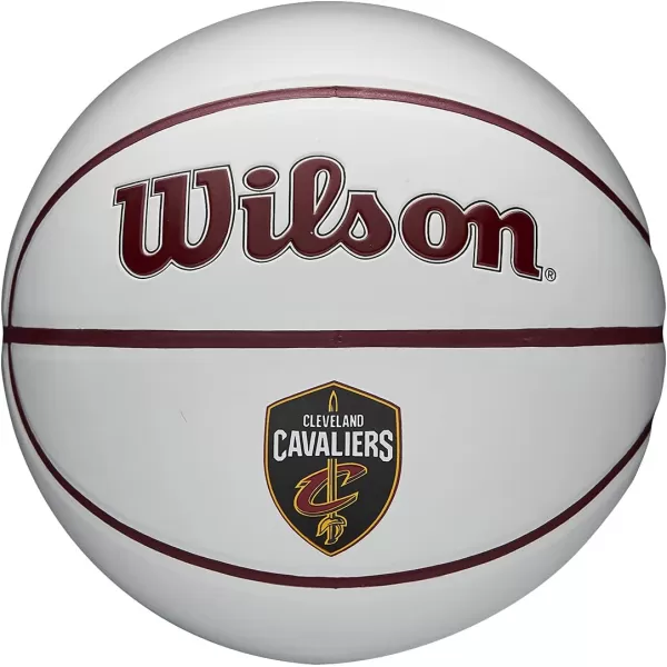 WILSON NBA Alliance Series Basketballs - Team Logo Basketballs - 29.5" and Mini Sizes