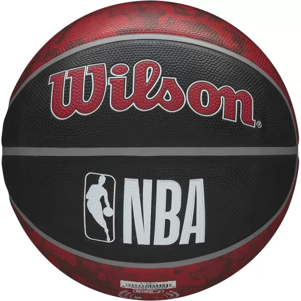 WILSON NBA Alliance Series Basketballs - Team Logo Basketballs - 29.5" and Mini Sizes