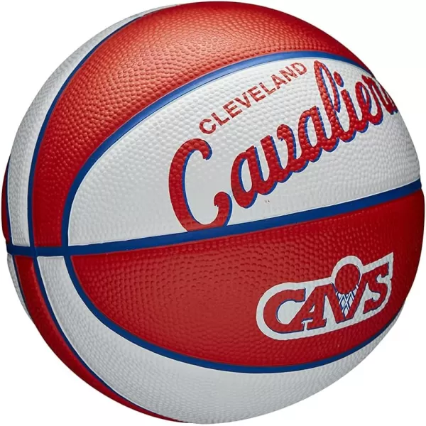 WILSON NBA Alliance Series Basketballs - Team Logo Basketballs - 29.5" and Mini Sizes