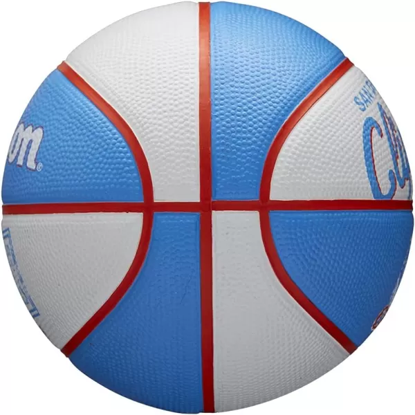 WILSON NBA Alliance Series Basketballs - Team Logo Basketballs - 29.5" and Mini Sizes