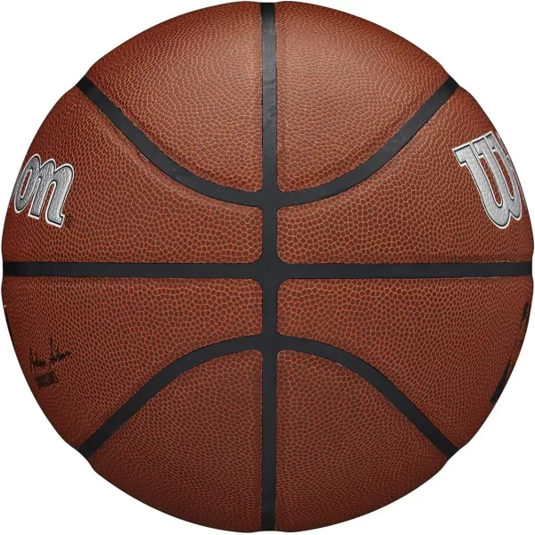 WILSON NBA Alliance Series Basketballs - Team Logo Basketballs - 29.5" and Mini Sizes