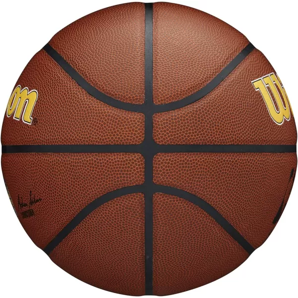 WILSON NBA Alliance Series Basketballs - Team Logo Basketballs - 29.5" and Mini Sizes