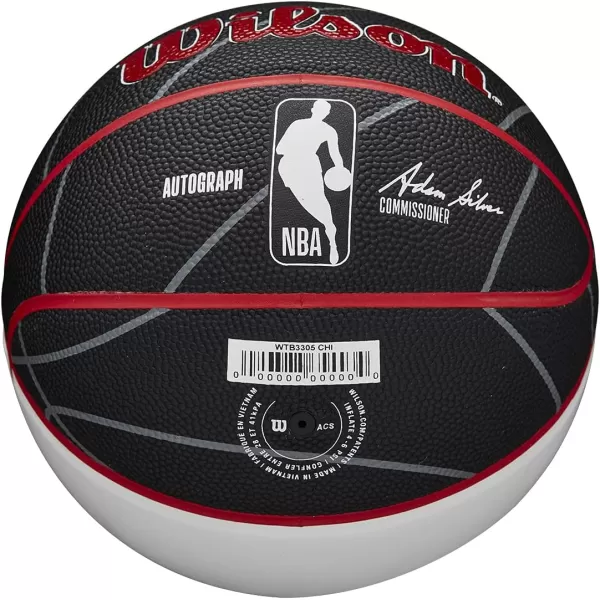 WILSON NBA Alliance Series Basketballs - Team Logo Basketballs - 29.5" and Mini Sizes