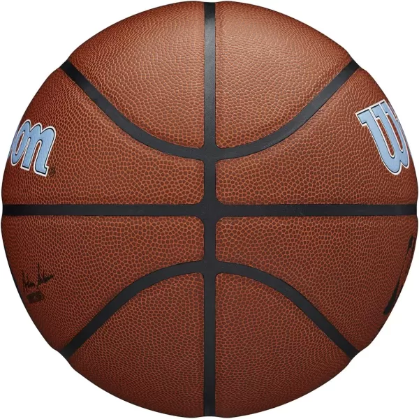 WILSON NBA Alliance Series Basketballs - Team Logo Basketballs - 29.5" and Mini Sizes